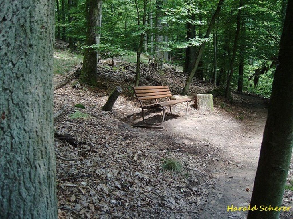 DHW0060.jpg